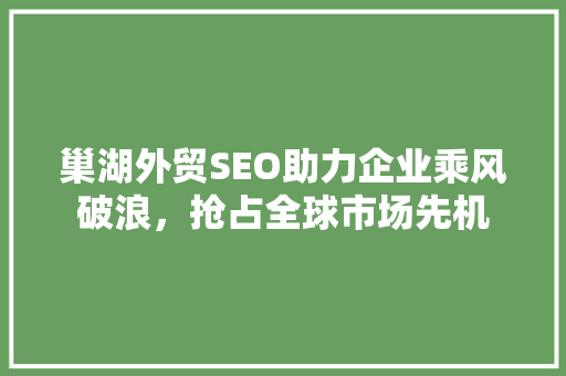 巢湖外贸SEO助力企业乘风破浪，抢占全球市场先机