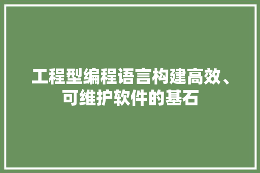 工程型编程语言构建高效、可维护软件的基石