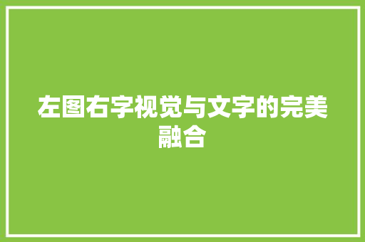 左图右字视觉与文字的完美融合