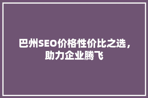 巴州SEO价格性价比之选，助力企业腾飞