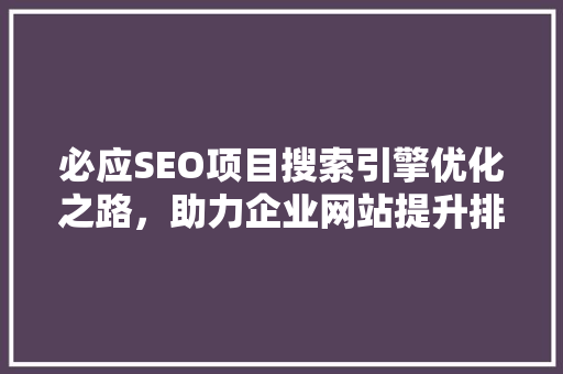 必应SEO项目搜索引擎优化之路，助力企业网站提升排名