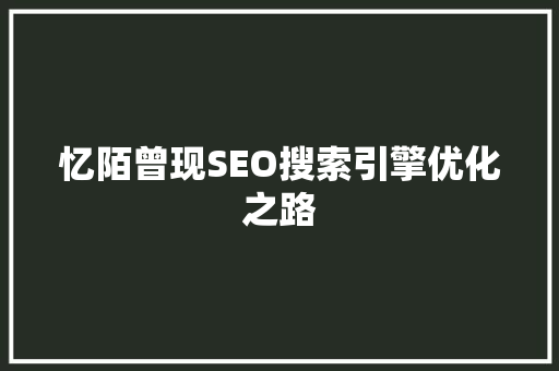 忆陌曾现SEO搜索引擎优化之路