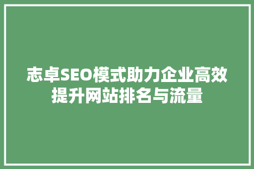 志卓SEO模式助力企业高效提升网站排名与流量