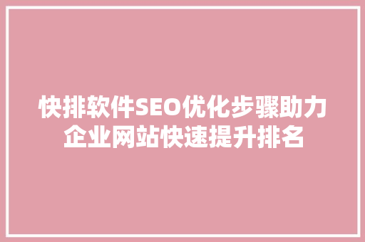 快排软件SEO优化步骤助力企业网站快速提升排名