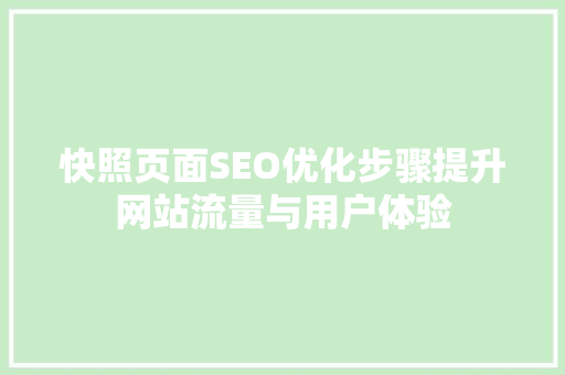 快照页面SEO优化步骤提升网站流量与用户体验