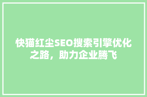 快猫红尘SEO搜索引擎优化之路，助力企业腾飞