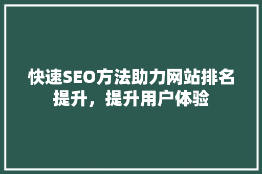 快速SEO方法助力网站排名提升，提升用户体验