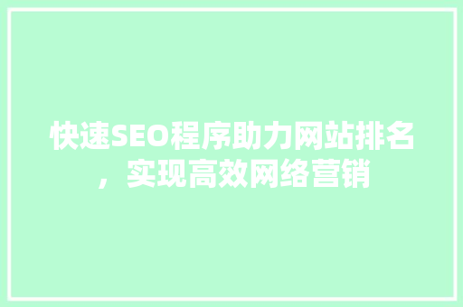 快速SEO程序助力网站排名，实现高效网络营销