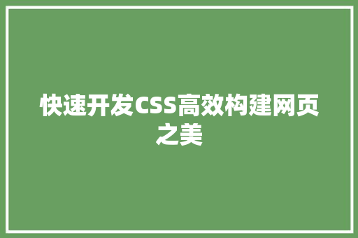 快速开发CSS高效构建网页之美