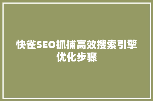 快雀SEO抓捕高效搜索引擎优化步骤