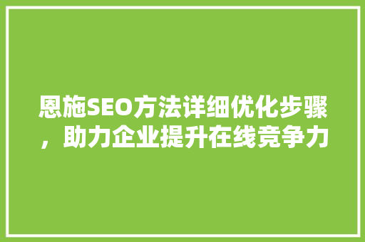 恩施SEO方法详细优化步骤，助力企业提升在线竞争力