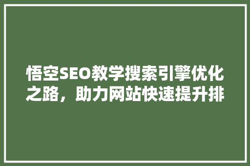 悟空SEO教学搜索引擎优化之路，助力网站快速提升排名