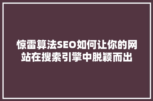 惊雷算法SEO如何让你的网站在搜索引擎中脱颖而出