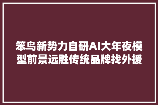 笨鸟新势力自研AI大年夜模型前景远胜传统品牌找外援