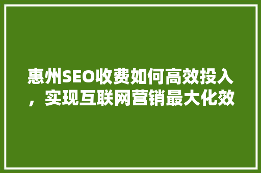 惠州SEO收费如何高效投入，实现互联网营销最大化效益