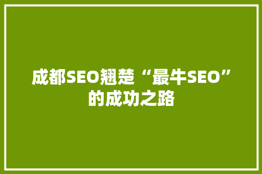 成都SEO翘楚“最牛SEO”的成功之路