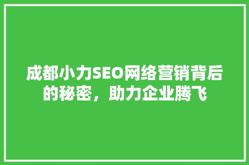 成都小力SEO网络营销背后的秘密，助力企业腾飞