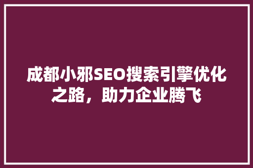 成都小邪SEO搜索引擎优化之路，助力企业腾飞