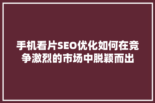 手机看片SEO优化如何在竞争激烈的市场中脱颖而出