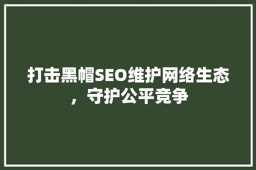 打击黑帽SEO维护网络生态，守护公平竞争