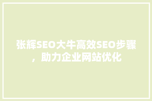 张辉SEO大牛高效SEO步骤，助力企业网站优化