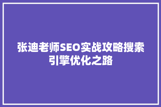 张迪老师SEO实战攻略搜索引擎优化之路