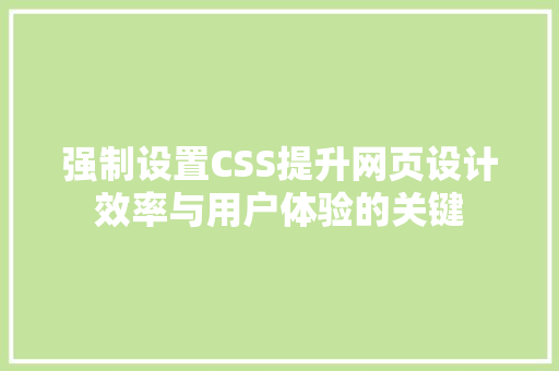 强制设置CSS提升网页设计效率与用户体验的关键