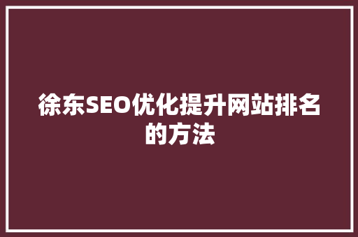 徐东SEO优化提升网站排名的方法