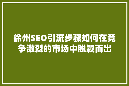 徐州SEO引流步骤如何在竞争激烈的市场中脱颖而出