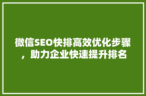 微信SEO快排高效优化步骤，助力企业快速提升排名