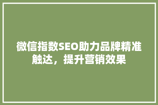 微信指数SEO助力品牌精准触达，提升营销效果