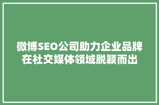 微博SEO公司助力企业品牌在社交媒体领域脱颖而出