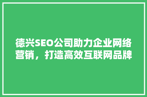 德兴SEO公司助力企业网络营销，打造高效互联网品牌