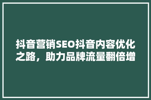 抖音营销SEO抖音内容优化之路，助力品牌流量翻倍增长