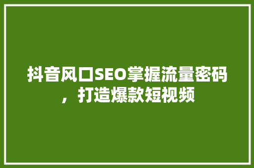 抖音风口SEO掌握流量密码，打造爆款短视频