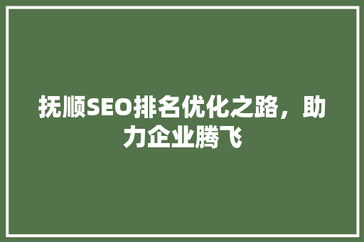 抚顺SEO排名优化之路，助力企业腾飞