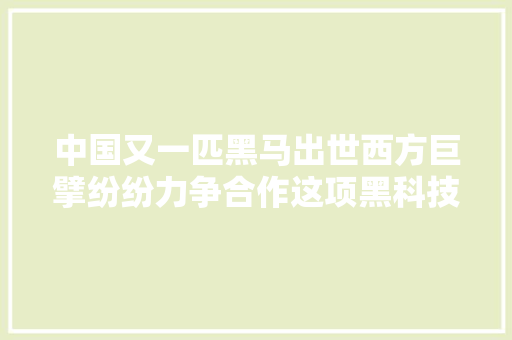 中国又一匹黑马出世西方巨擘纷纷力争合作这项黑科技有多牛