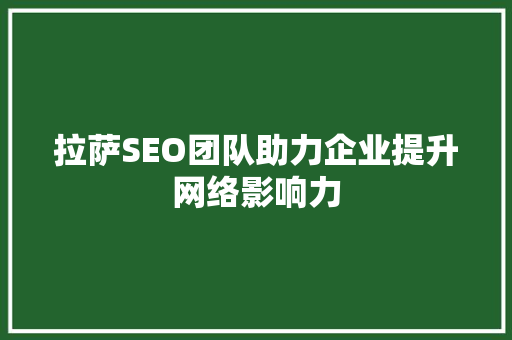 拉萨SEO团队助力企业提升网络影响力