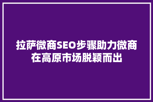 拉萨微商SEO步骤助力微商在高原市场脱颖而出