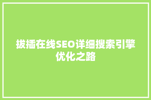 拔插在线SEO详细搜索引擎优化之路