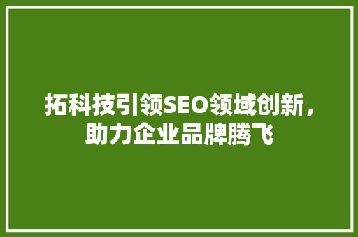 拓科技引领SEO领域创新，助力企业品牌腾飞