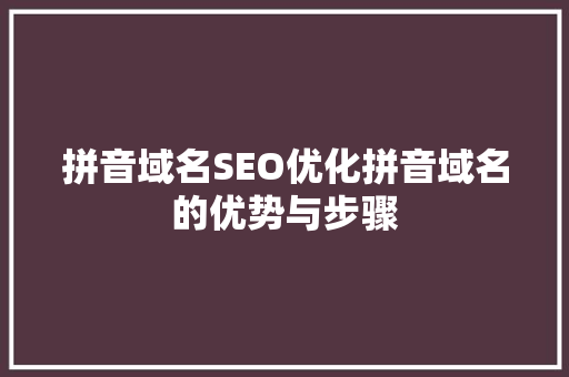 拼音域名SEO优化拼音域名的优势与步骤