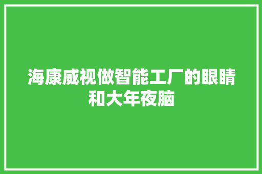 海康威视做智能工厂的眼睛和大年夜脑