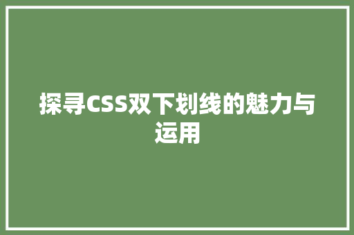 探寻CSS双下划线的魅力与运用