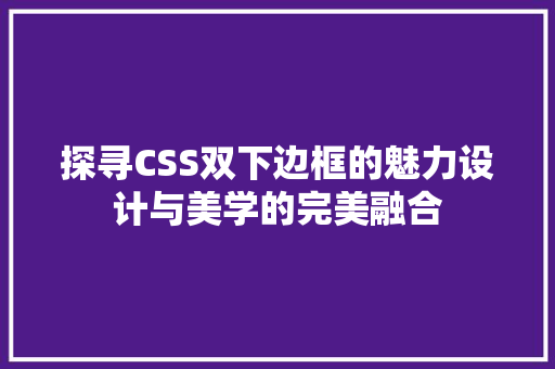 探寻CSS双下边框的魅力设计与美学的完美融合