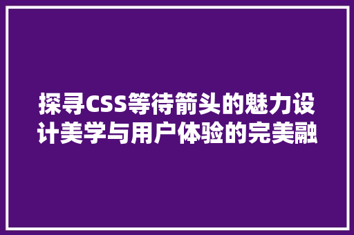 探寻CSS等待箭头的魅力设计美学与用户体验的完美融合