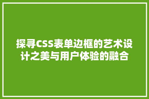 探寻CSS表单边框的艺术设计之美与用户体验的融合