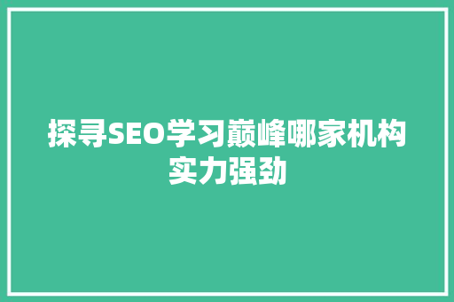 探寻SEO学习巅峰哪家机构实力强劲