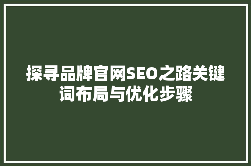 探寻品牌官网SEO之路关键词布局与优化步骤