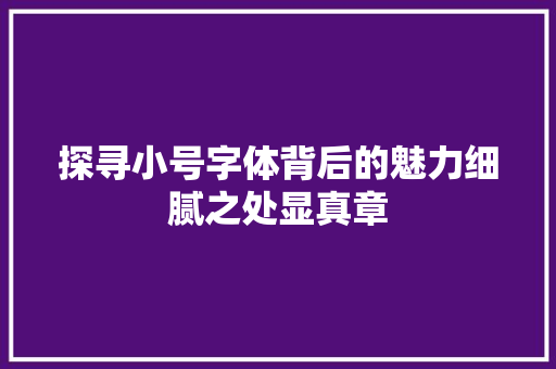 探寻小号字体背后的魅力细腻之处显真章